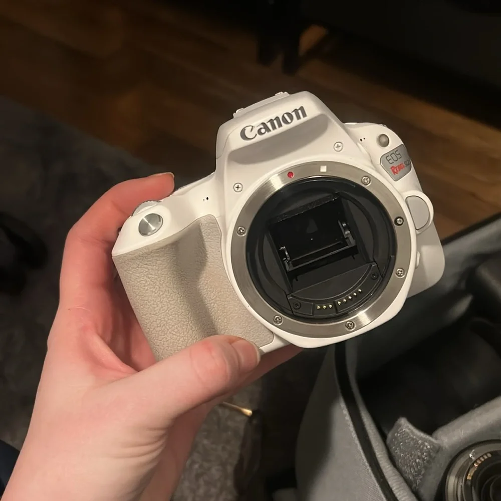 Canon EOS Rebel SL2 Camera (USED)